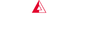 TRIATHLON logo 2024